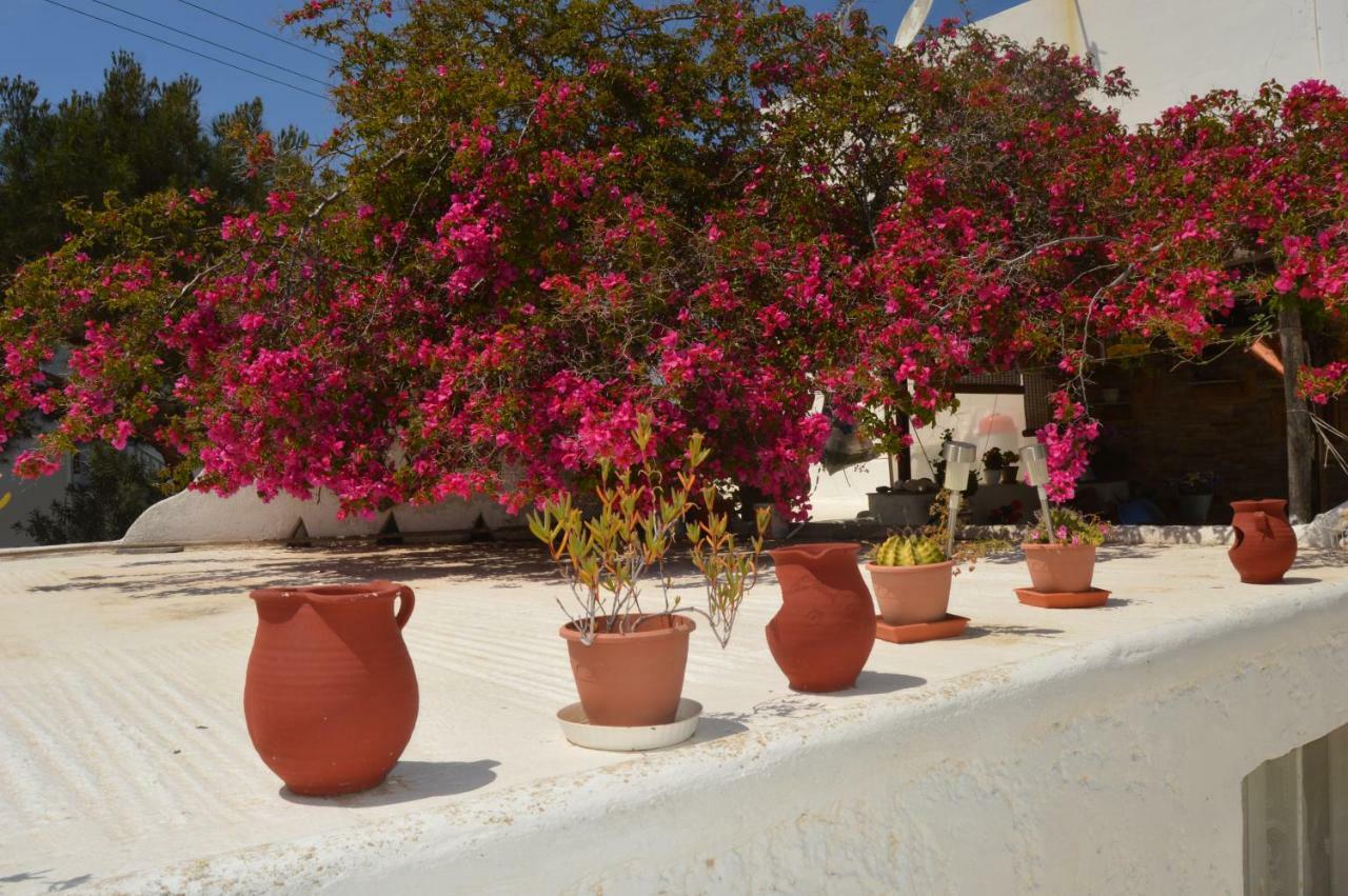 Secret Garden Apartments Mykonos Town Kültér fotó