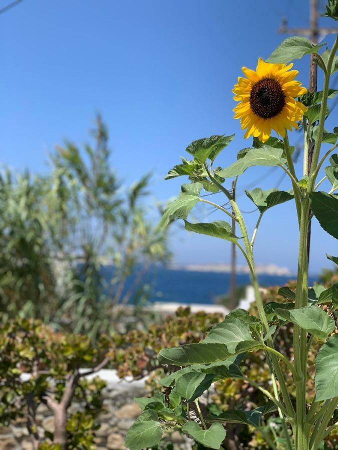 Secret Garden Apartments Mykonos Town Kültér fotó
